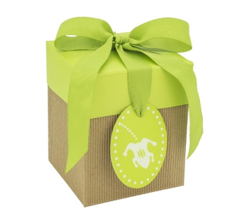 greengiftboxwithtouchwoodlogo